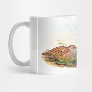 Mountain Quail Mug